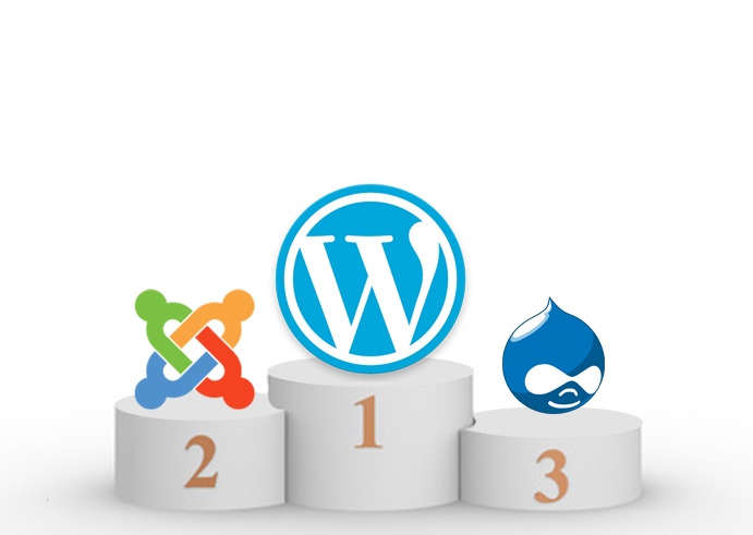 wordpress best cms themes