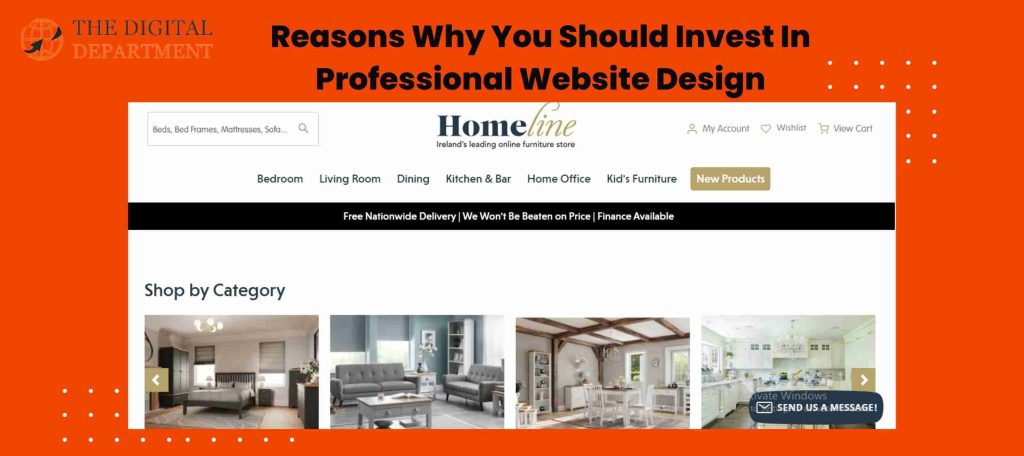 Professional Website Design