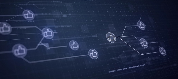 Link-Building & Authority Growth