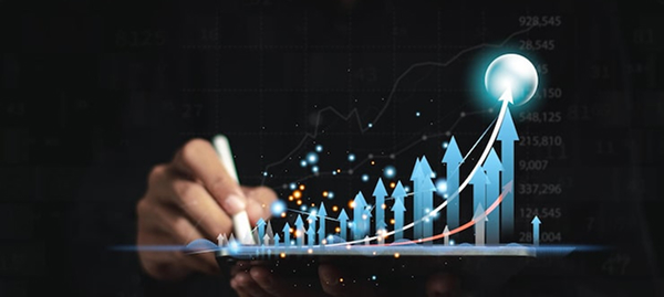 Link-Building & Authority Growth