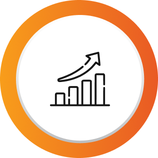 Reporting & Insight